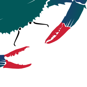 Callinectes Training Logo